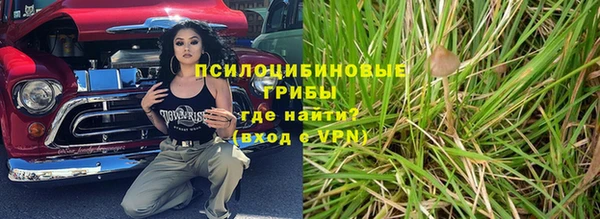 гашик Алексеевка