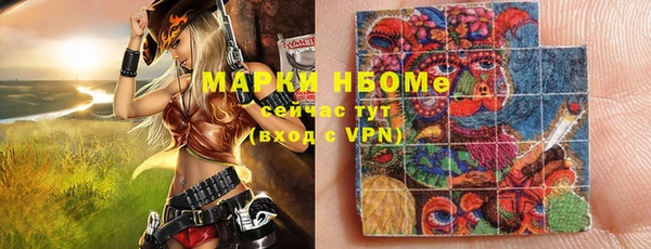 гашик Алексеевка