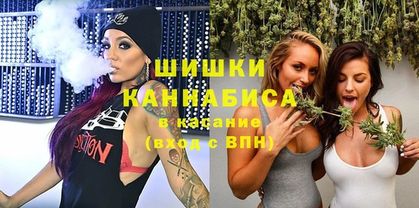 гашик Алексеевка